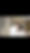 IMG_9151.JPEG